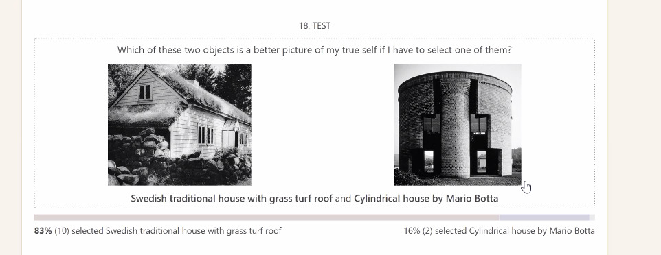 Example result of the Mirror of the Self test