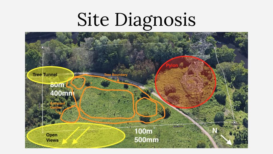 Site Diagnosis